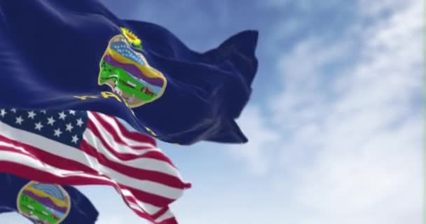 カンザス州の国旗とアメリカの国旗は晴れた日に風を吹いている アメリカの国旗 プライドと愛国心の概念 シームレスな3Dレンダリングアニメーションループ スローモーション 選択的なフォーカス — ストック動画