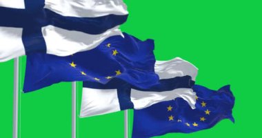 Finlandiya 'nın ulusal bayrakları yeşil ekranda Avrupa Birliği bayrağıyla rüzgarda sallanıyor. Kusursuz 3D canlandırma animasyonu. Krom anahtar. Yavaş çekim döngüsü. 4 bin. Seçici odak