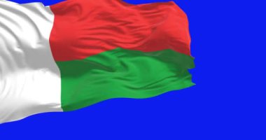 Madagaskar 'ın ulusal bayrağı mavi ekranda dalgalanıyor. İki yatay şerit kırmızı ve yeşil, solunda beyaz dikey şerit var. Kusursuz 3D canlandırma animasyonu. Krom anahtar. Yavaş çekim döngüsü. 4K