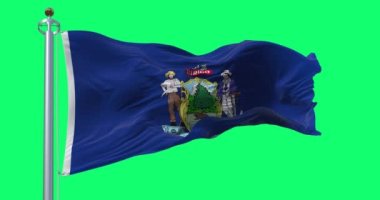 Yeşil arka planda Maine eyaleti bayrağı sallanıyor. Eyalet arması koyu mavi bir tarlaya kurulmuş. Kusursuz 3D canlandırma animasyonu. Krom anahtar. Alfa kanalı. Yavaş çekim döngüsü. 4K