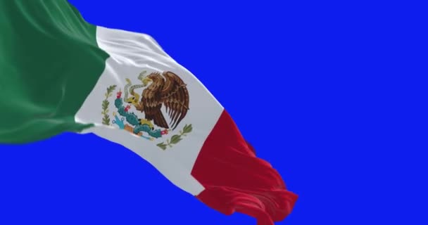 멕시코 국기가 파란색 화면에 흔들리고 있습니다 중앙에 외투와 빨간색의 원활한 — 비디오