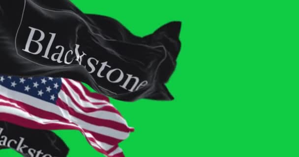 Charleston Eua Outubro 2023 Nikki Haley 2024 Bandeira Campanha Presidencial — Vídeo de Stock
