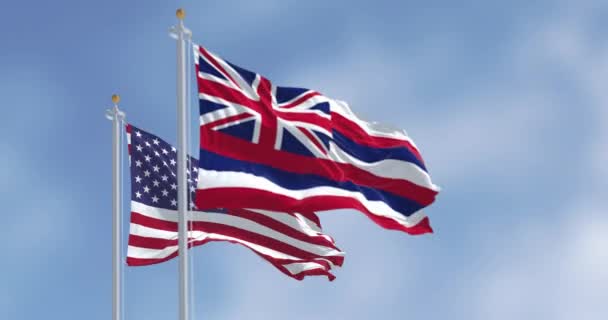 ハワイ州旗は明確な日にアメリカ合衆国の国旗を掲げている 3Dレンダリングアニメーション スローモーション 選択的な焦点 リッピングファブリック — ストック動画