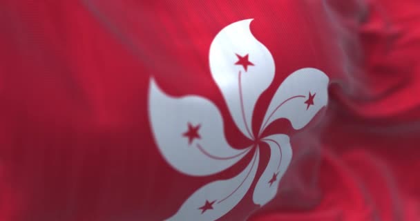 Впритул Прапор Гонконгу Махав Червоне Поле Білою Стилізованою Ятипелюстковою Квіточкою — стокове відео