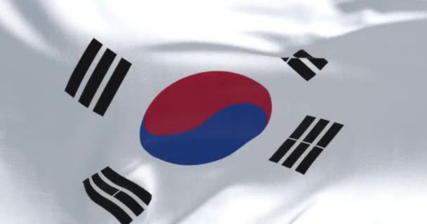 Close South Korea National Flag Waving Wind White Field Red — Stock Video