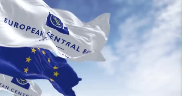 フランクフルト 1823年3月18日 ヨーロッパ中央銀行と欧州連合の旗が晴れた日に風を振った シームレス3Dレンダリングアニメーション スローモーションループ 選択的なフォーカス — ストック動画