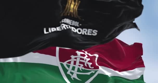 Rio Janiero Νοεμβρίου 2023 Κύπελλο Libertadores Του Concacaf Και Σημαίες — Αρχείο Βίντεο