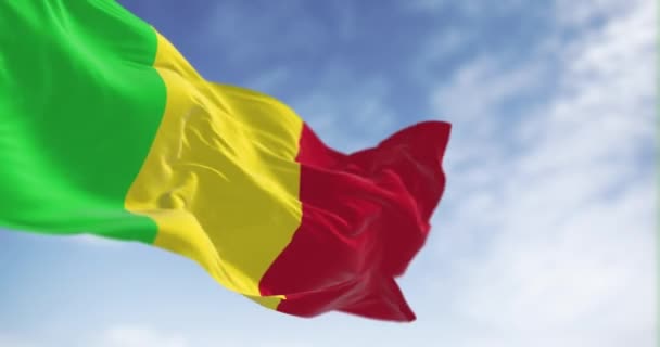 晴れた日に風を振るマリの国旗 垂直トリコロール 汎アフリカの色 シームレス3Dレンダリングアニメーション スローモーションループ 選択的な焦点 ウィングフラッグ — ストック動画
