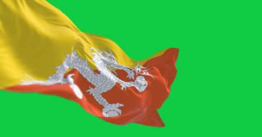 Bhutan ulusal bayrağı yeşil ekranda dalgalanıyor. Sarı ve turuncu üçgenler, ortada mücevherleri tutan beyaz ejderha. Kusursuz 3D canlandırma animasyonu. Krom anahtar. Yavaş çekim döngüsü. 4 bin. Seçici odak