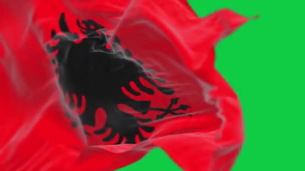 Albanska Nationella Flaggan Viftar Isolerad Grön Bakgrund Röd Flagga Med — Stockvideo