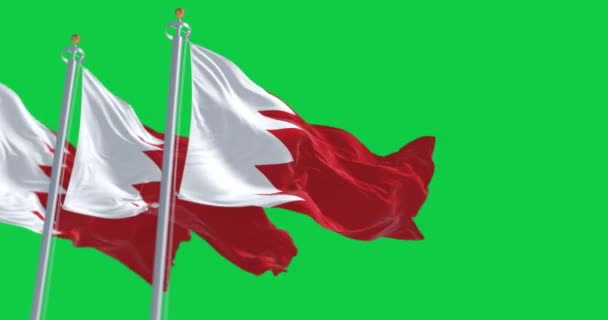 Drie Bahrein Vlaggen Zwaaien Geïsoleerd Een Groene Achtergrond Naadloze Weergave — Stockvideo