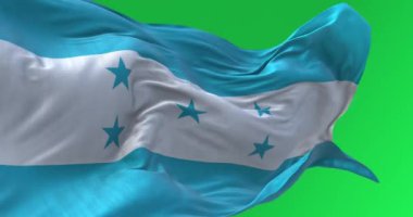 Yeşil ekranda sallanan Honduras ulusal bayrağının yakın çekimi. Merkezi şeritte beş yıldızlı üç yatay turkuaz şerit. Kusursuz 3D canlandırma animasyonu. Krom anahtar. Yavaş çekim döngüsü. 4K