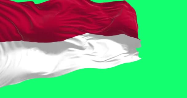 인도네시아 국기가 화면에 바람에 흔들리고 있습니다 너비의 빨간색과 줄무늬 원활한 — 비디오