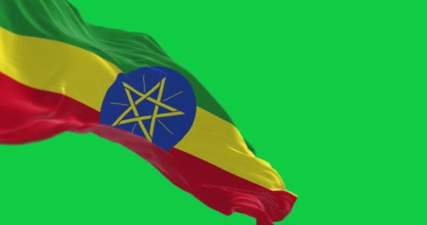 Etiopien Nationell Flagga Viftar Isolerat Horisontella Band Grönt Gult Och — Stockvideo