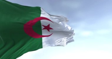 Açık bir günde Cezayir ulusal bayrağının yakın çekimi. İki dikey çizgi, yeşil ve beyaz, ortasında kırmızı yıldız ve hilal var. Kusursuz 3 boyutlu animasyon. Yavaş çekim döngüsü. Sallanan bayrak