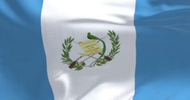 Guatemala ulusal bayrağının yakın çekimi. Üç dikey mavi ve beyaz çizgili ve merkezi ulusal armalı. Kusursuz 3 boyutlu animasyon. Yavaş çekim döngüsü. Sallanan bayrak