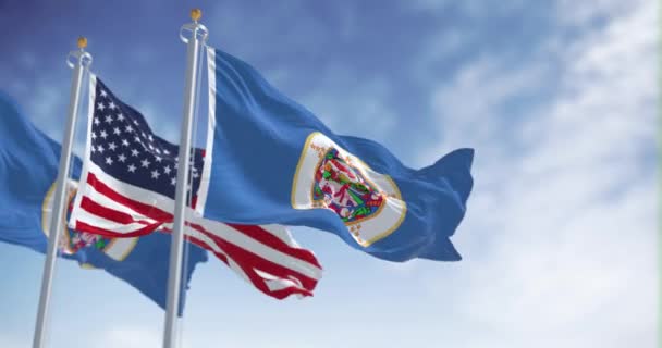 Bandeiras Estado Minnesota Acenando Com Bandeira Americana Dia Claro Estado — Vídeo de Stock