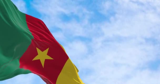 Kamerun Ulusal Bayrağı Yeşil Kırmızı Sarı Renkler Açık Mavi Bir — Stok video
