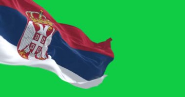 Sırbistan ulusal bayrağı yeşil ekranda dalgalanıyor. Kırmızı, mavi ve beyaz bantlar, Sırp arması. Kusursuz 3D canlandırma animasyonu. Krom anahtar. Yavaş çekim döngüsü. 4 bin. Seçici odak.