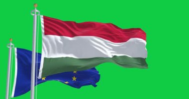 Macaristan ve Avrupa Birliği 'nin bayrakları yeşil arka planda yalıtılmış bir şekilde sallanıyor. Kusursuz 3D canlandırma animasyonu. Krom anahtar. Alfa kanalı. Yavaş çekim döngüsü. 4K