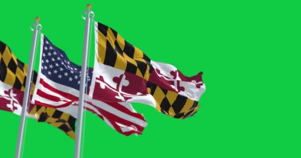 Прапори Меріленду Сполучених Штатів Махали Зеленим Екраном Патріотичний Символічний Образ — стокове відео