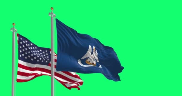 路易斯安那州的国旗与美国国旗在绿屏上迎风飘扬 无缝3D渲染动画 慢动作回圈4K 有选择的重点 — 图库视频影像