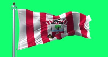 Southampton, İngiltere, 5 Ekim 2023: yeşil ekranda sallanan Southampton Futbol Kulübü bayrağı. İngiliz profesyonel futbol kulübü. Kusursuz 3D canlandırma animasyonu. Krom anahtar. Alfa kanalı. Yavaş çekim döngüsü. 4K