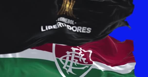 Rio Janiero Nov 2023 Concacaf Libertadores Cup Fluminense Flags Waving — Stock Video