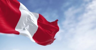 Peru ulusal bayrağı açık havada dalgalanıyor. Dikey üç bant iki kırmızı dış bant ve tek bir beyaz orta şeritten oluşur. Kusursuz 3 boyutlu animasyon. Yavaş çekim döngüsü. Seçici odak