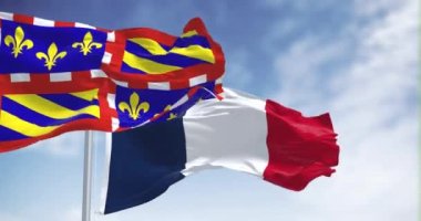 Burgundy bayrağının açık havada rüzgarda dalgalanması. Burgundy, Fransa 'nın doğusunda bulunan tarihi bir bölgedir. Kusursuz 3 boyutlu animasyon. Yavaş çekim döngüsü. Sallanan bayrak