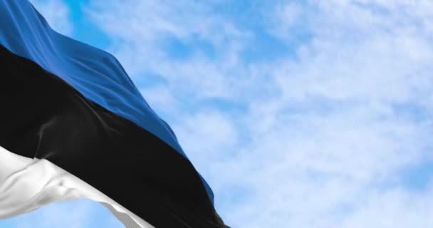 エストニアの国旗がイオンを振る明確な日 ブルー ブラック ホワイトの3つの等しいバンドを特徴とする水平トリコロール シームレス3Dレンダリングアニメーション スローモーションループ 選択的な焦点 ウィングフラッグ — ストック動画