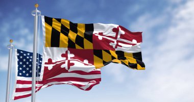 Maryland ve Birleşik Devletler bayrakları açık bir günde rüzgarda sallanıyor. Vatansever ve sembolik bir imaj. 3D illüstrasyon canlandırıcı. Dalgalanan kumaş