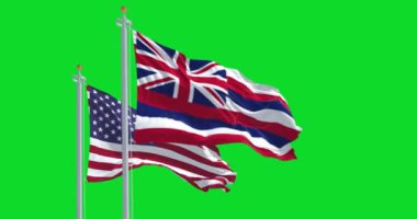 Hawaii eyalet bayrağı yeşil ekranda Amerika Birleşik Devletleri bayrağıyla dalgalanıyor. Kusursuz 3D canlandırma animasyonu. Krom anahtar. Yavaş çekim döngüsü. 4 bin. Seçici odak.