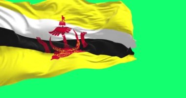 Brunei 'nin ulusal bayrağı yeşil ekranda rüzgarda sallanıyor. Brunei Darussalam, Güneydoğu Asya 'da bir ülkedir. Kusursuz 3D canlandırma animasyonu. Krom anahtar. Yavaş çekim döngüsü. 4K