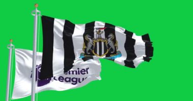 Newcastle, İngiltere; 14 Eylül 2023: Newcastle Futbol Kulübü ve Premier League bayrakları yeşil ekranda birlikte sallanıyor. Kusursuz 3D canlandırma animasyonu. Krom anahtar. Yavaş çekim döngüsü. 4 bin. Seçici odak