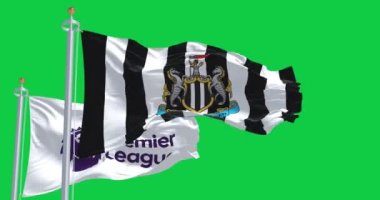 Newcastle, İngiltere; 14 Eylül 2023: Newcastle Futbol Kulübü ve Premier League bayrakları yeşil ekranda birlikte sallanıyor. Kusursuz 3D canlandırma animasyonu. Krom anahtar. Yavaş çekim döngüsü. 4 bin. Seçici odak