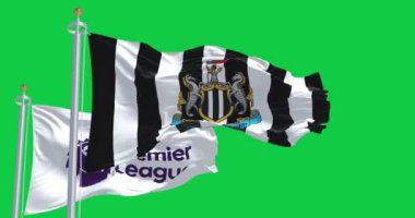 Newcastle, İngiltere; 14 Eylül 2023: Newcastle Futbol Kulübü ve Premier League bayrakları yeşil ekranda birlikte sallanıyor. Kusursuz 3D canlandırma animasyonu. Krom anahtar. Yavaş çekim döngüsü. 4 bin. Seçici odak