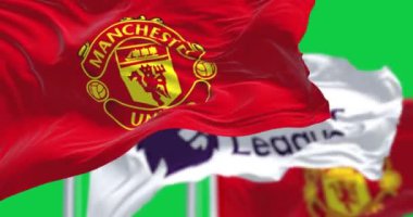 Manchester, İngiltere, 2 Temmuz 2023: Manchester United Futbol Kulübü ve Premier League bayrakları yeşil ekranda sallanıyor. Kusursuz 3D canlandırma animasyonu. Krom anahtar. Yavaş çekim döngüsü. 4 bin. Seçici odak