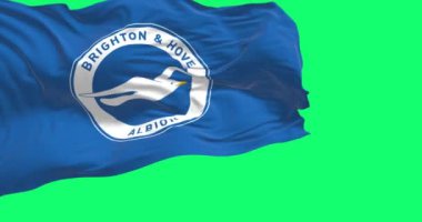 Brighton, İngiltere, 23 Ekim 2023: Brighton futbol kulübü yeşil ekranda rüzgarda sallanıyor. İngiliz profesyonel futbol takımı. Kusursuz 3D canlandırma animasyonu. Krom anahtar. Yavaş çekim döngüsü. 4K