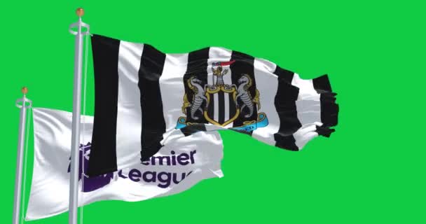 Newcastle Storbritannien Sept 2023 Newcastle Football Club Och Premier League — Stockvideo