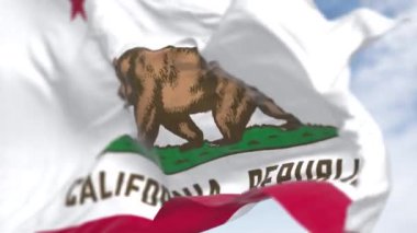 Açık bir günde rüzgarda dalgalanan Kaliforniya bayrağının yakın çekimi. Kaliforniya bayrağı aynı zamanda Ayı Bayrağı 'dır. Kusursuz 3 boyutlu animasyon. Yavaş çekim döngüsü. Seçici odaklanma. Sallanan bayrak