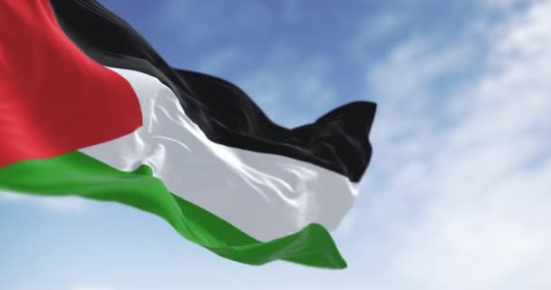 Палестинский Национальный Флаг Размахивает Ясный День Три Чёрные Белые Зелёные — стоковое видео