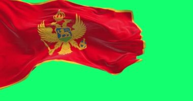 Portekiz bayrakları yeşil ekranda Avrupa Birliği bayraklarıyla dalgalanıyor. Demokrasi ve politika. Kusursuz 3D canlandırma animasyonu. Krom anahtar. Alfa kanalı. Yavaş çekim döngüsü. 4 bin. Seçici odak