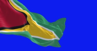 Portekiz bayrakları yeşil ekranda Avrupa Birliği bayraklarıyla dalgalanıyor. Demokrasi ve politika. Kusursuz 3D canlandırma animasyonu. Krom anahtar. Alfa kanalı. Yavaş çekim döngüsü. 4 bin. Seçici odak