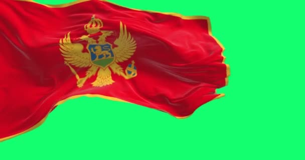 Portugals Flaggor Viftar Med Europeiska Unionens Flaggor Grön Skärm Demokrati — Stockvideo