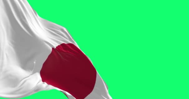 Portugália Zászlói Lobognak Európai Unió Zászlóival Zöld Képernyőn Demokrácia Politika — Stock videók
