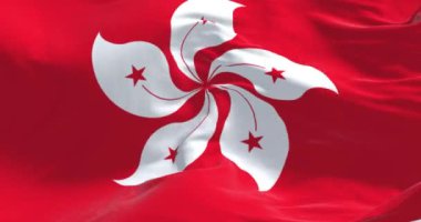 Hong Kong bayrağını dalgalandırın. Beyaz, stilize, beş yapraklı Hong Kong orkide çiçekli kırmızı tarla. Kusursuz 3 boyutlu animasyon. Yavaş çekim döngüsü. Sallanan bayrak