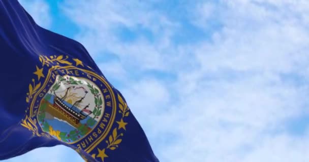Gros Plan Drapeau État New Hampshire Agitant Vent Fond Bleu — Video
