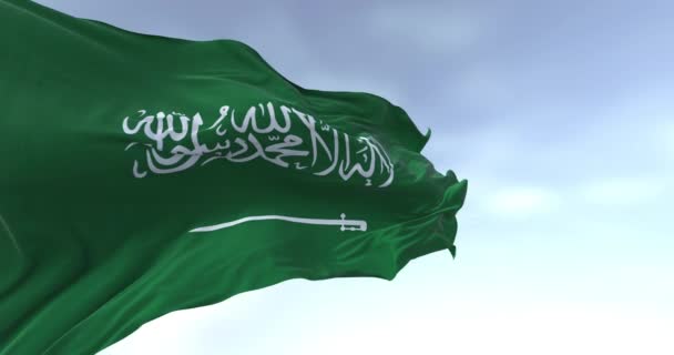 サウジアラビアの国旗は晴れた日に風を吹いている グリーンフィールド シャーダと剣 トゥルースの脚本 シームレス3Dレンダリングアニメーション スローモーションループ ウィングフラッグ — ストック動画
