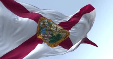Açık bir günde rüzgarda dalgalanan Florida eyalet bayrağının yakın çekimi. Merkezinde eyalet mührü olan beyaz üzerine kırmızı hiciv. Kusursuz 3 boyutlu animasyon. Yavaş çekim döngüsü. Sallanan bayrak